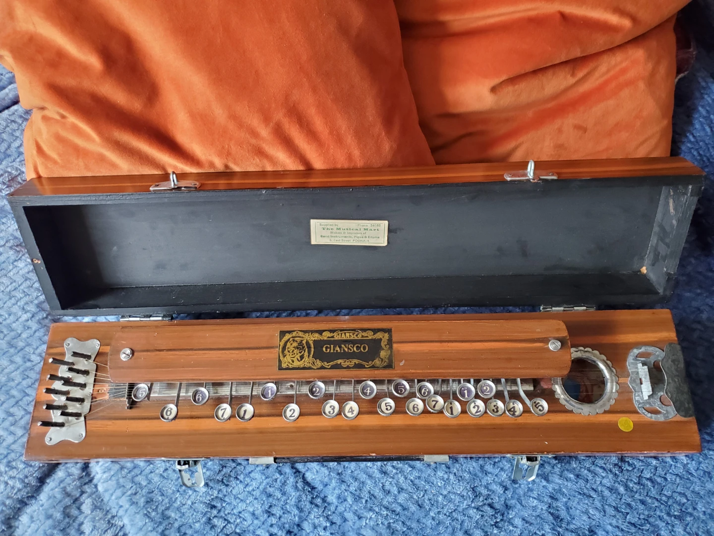 Antique Gianasco Bulbul Tarang (Indian Banjo or zither)