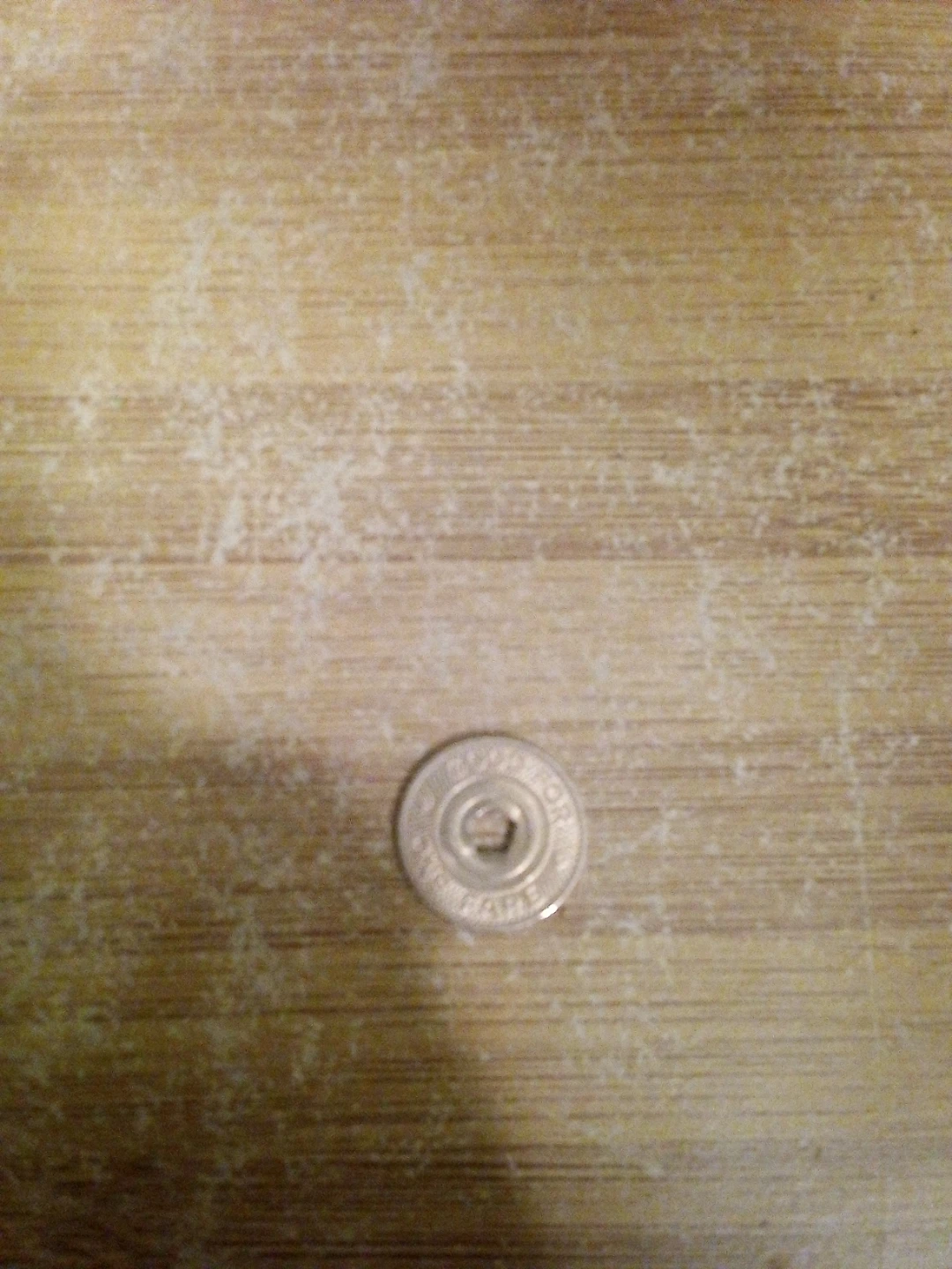 Silver Tone Snap Fastener subway token