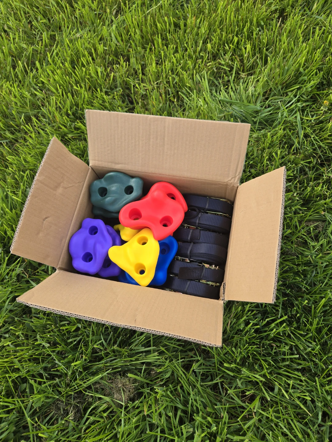 Kids Tree Climbing Kit