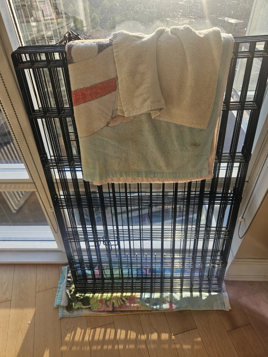 Large Dog Playpen