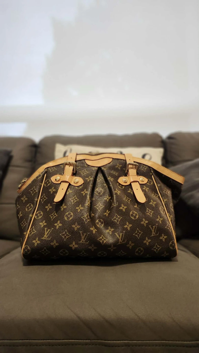 Louis Vuitton Monogram Speedy Bag