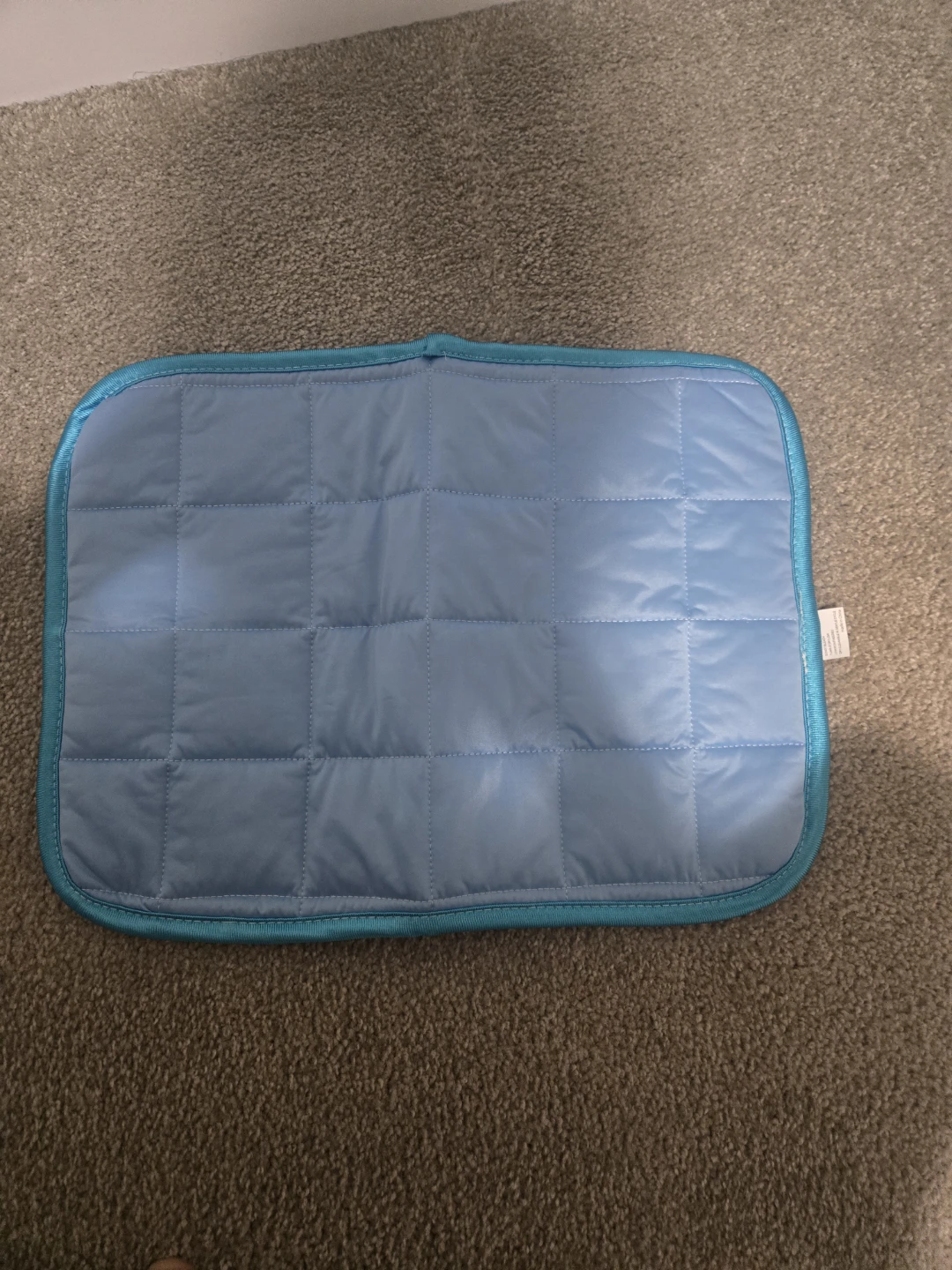Mini pet cooling pad