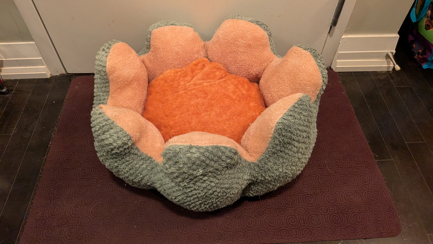 Flower Petal and Shag Donut Per Beds