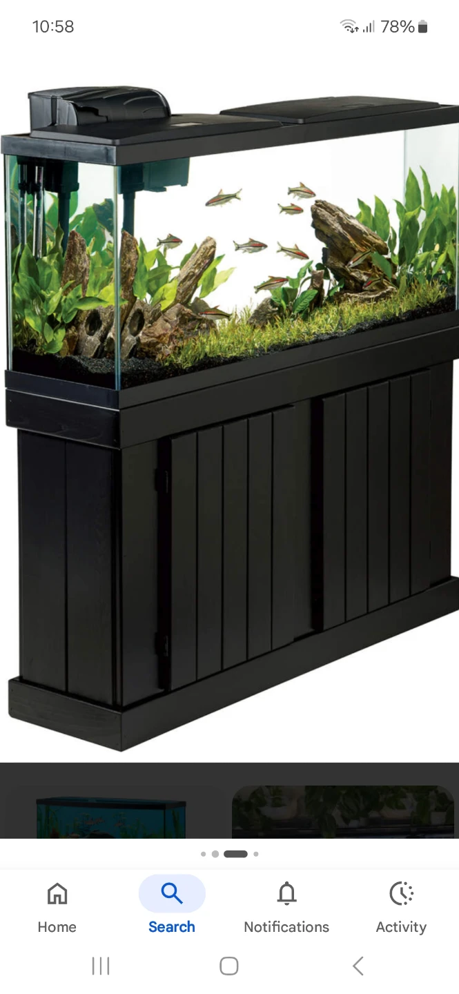 Looking for a 35 gallon fish tank
