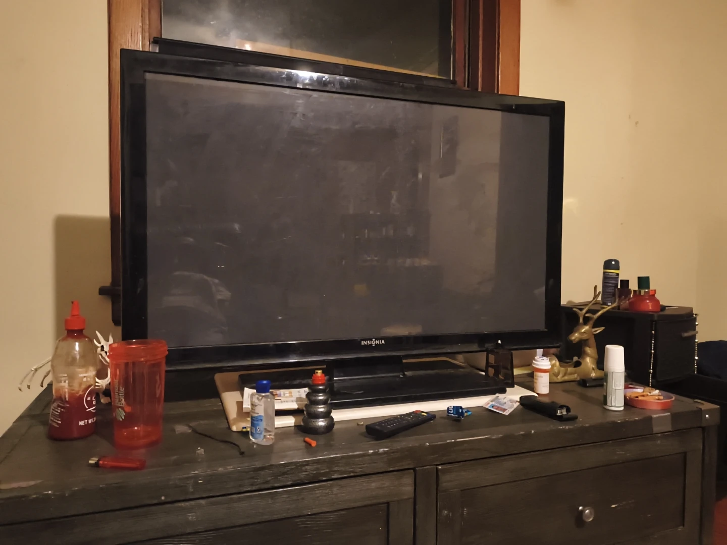Insignia Flat Screen TV