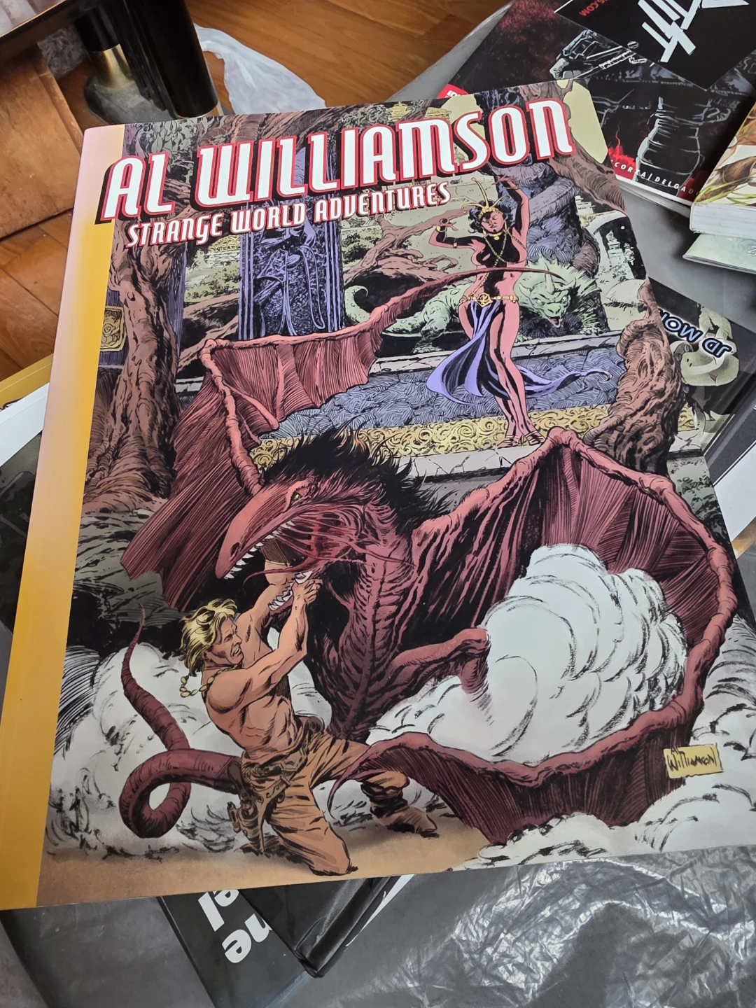 Al Williamson Strange World Adventures Graphic Novel - photo 2