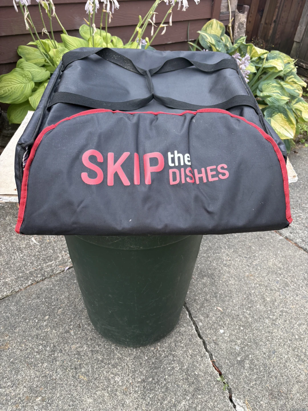 SkipTheDishes Insulated Pizza Delivery Bag