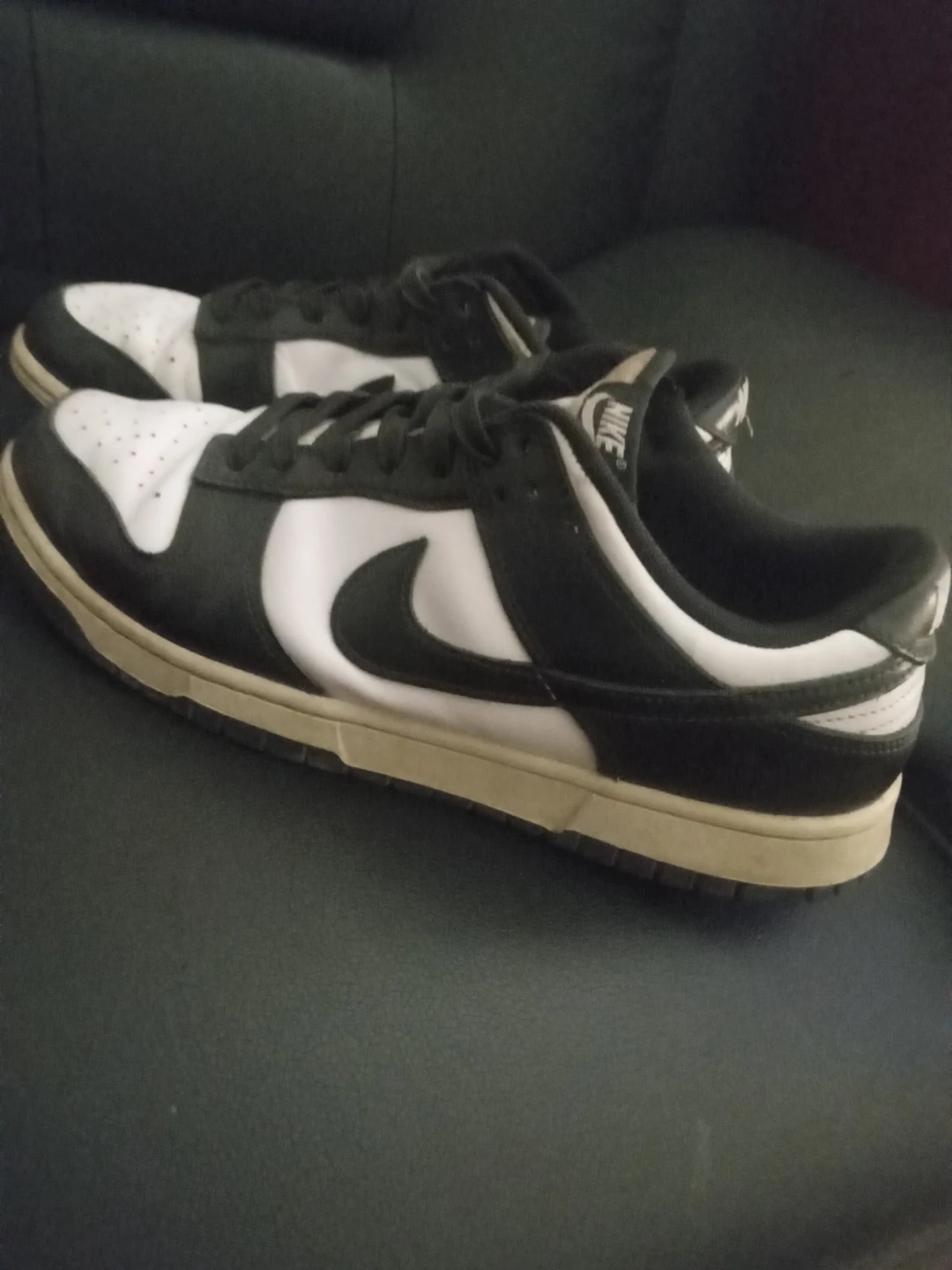 Nike Dunk Low Sneakers