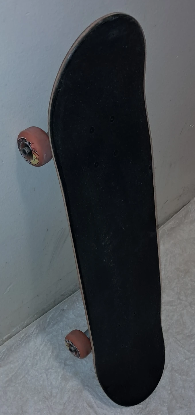 World Industries Skateboard - photo 2