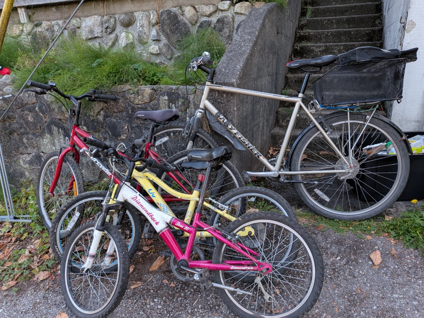 Free bikes