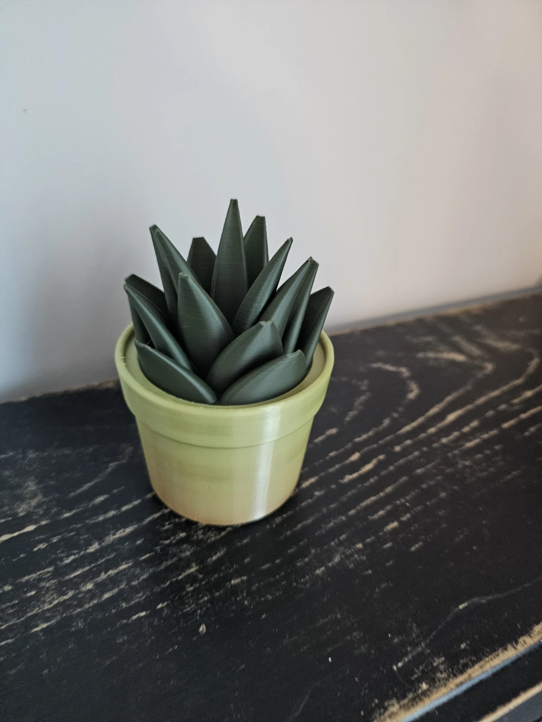 3D Printed succulent look Fruit Fly Traps - photo 5
