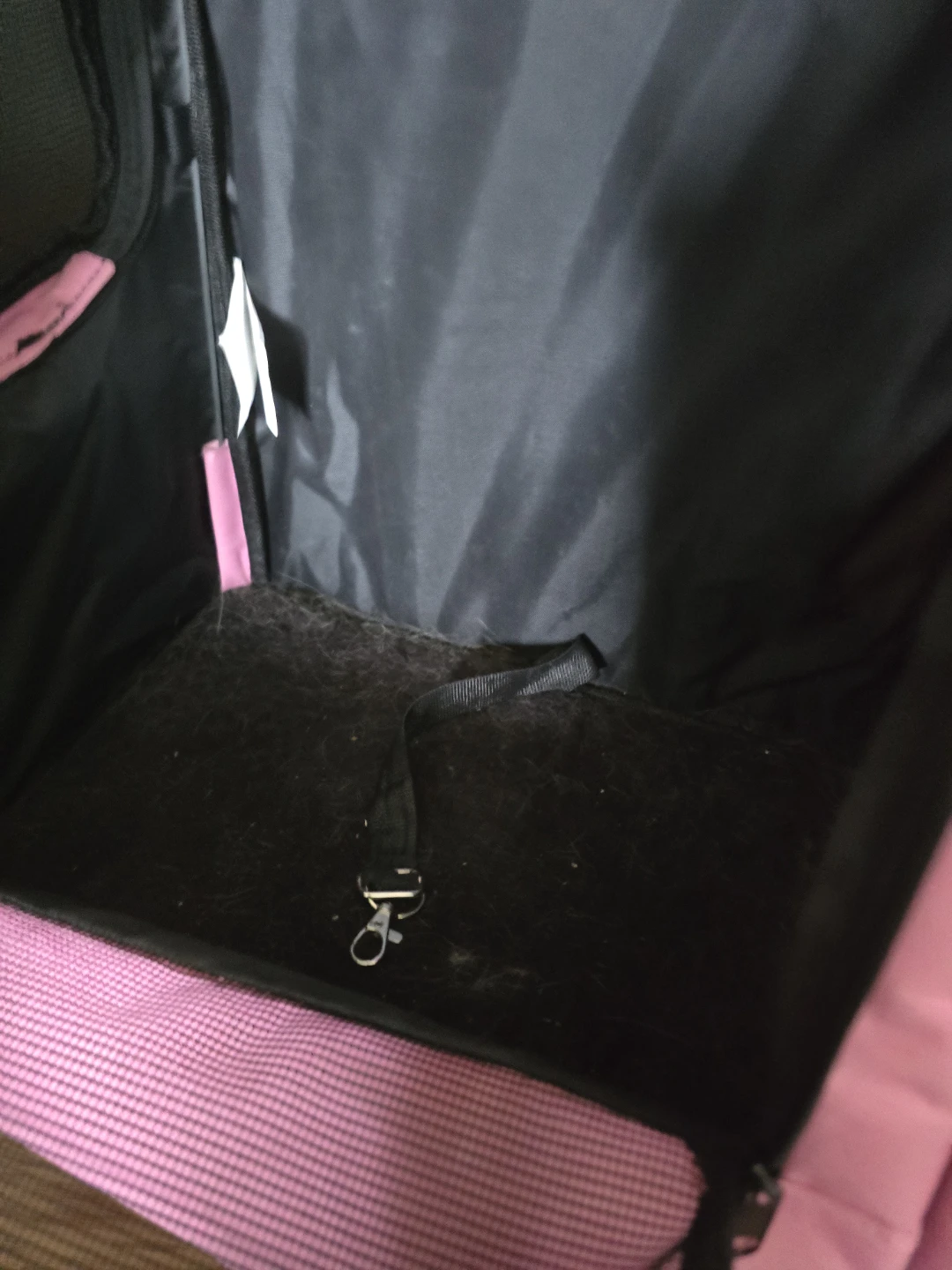 Pink Rolling Pet Carrier Backpack - photo 2