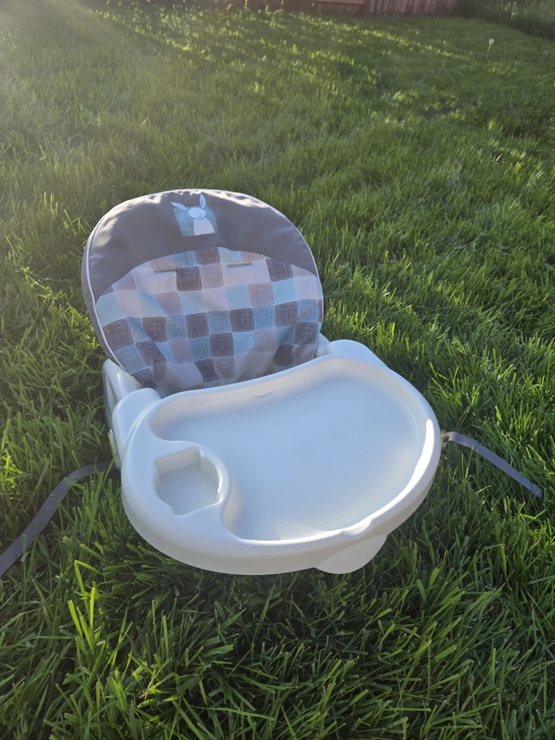 Infant Booster Seat - photo 4