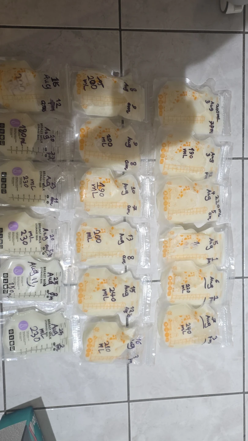 Breast Milk Storage Bags (various amounts)