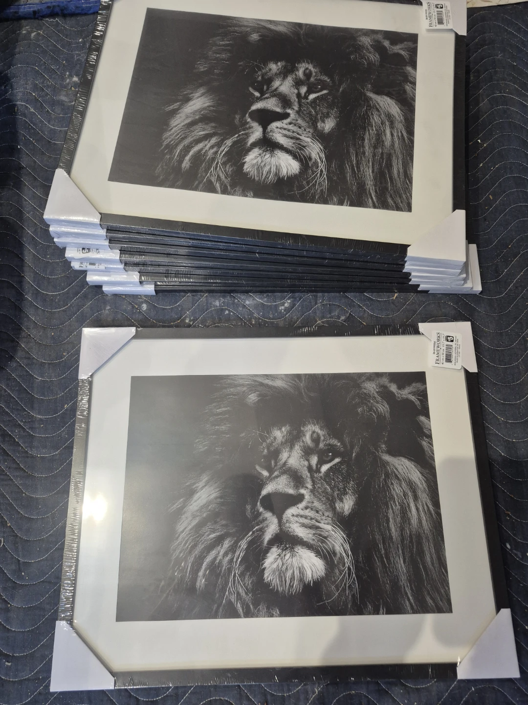Picture Frames