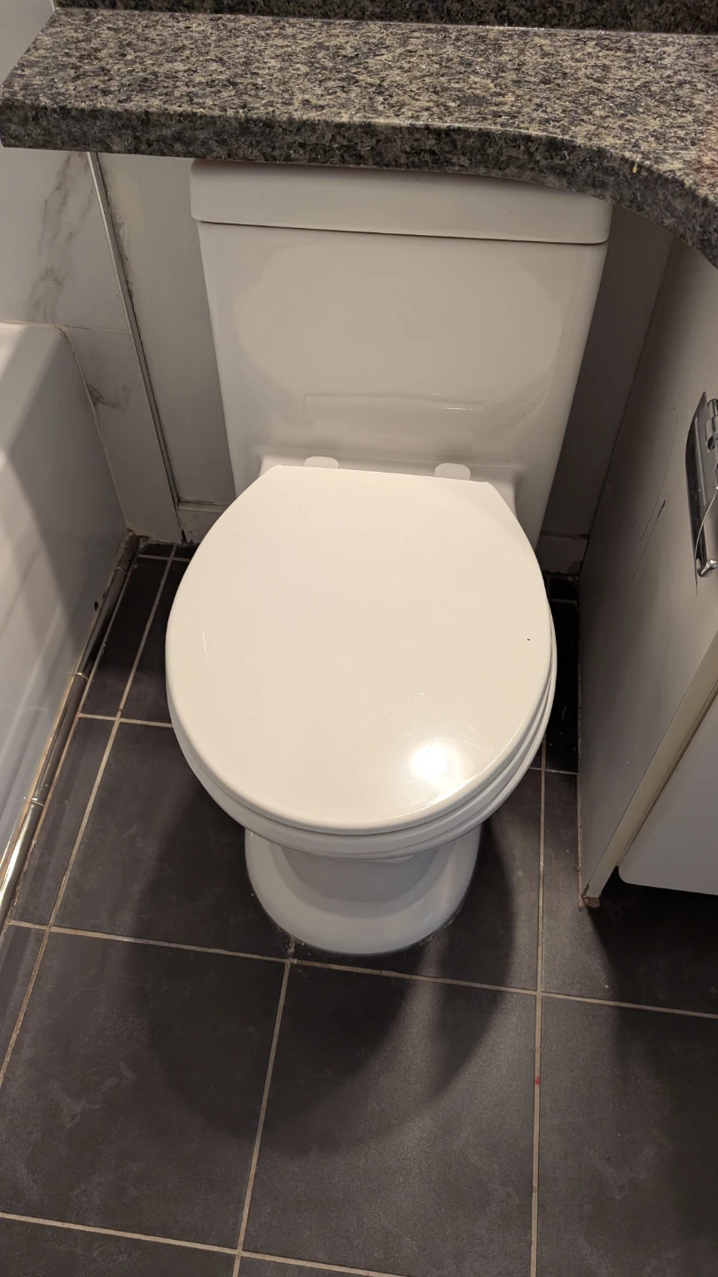 White One-Piece ProjectSource Toilet - photo 3