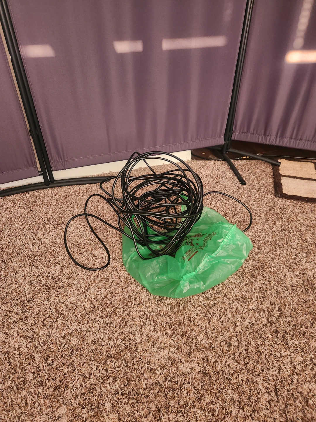 50 Ft coux cable (wifi)