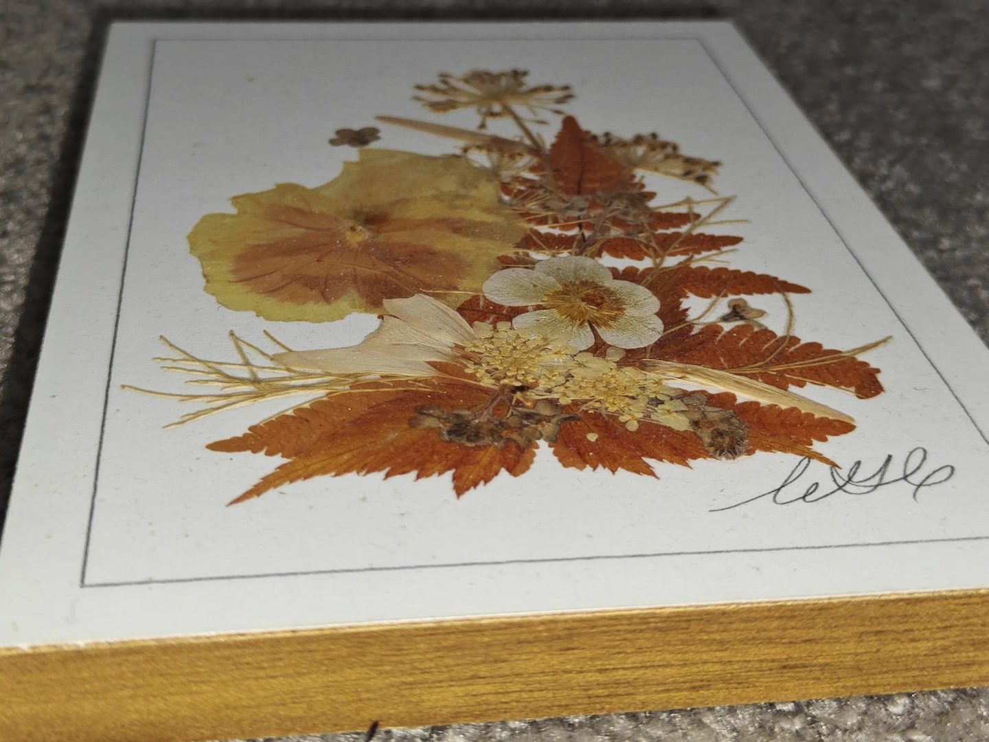 2 Hand-Pressed Preserved Flowers Botanical Art Wall Art - Canada - photo 4