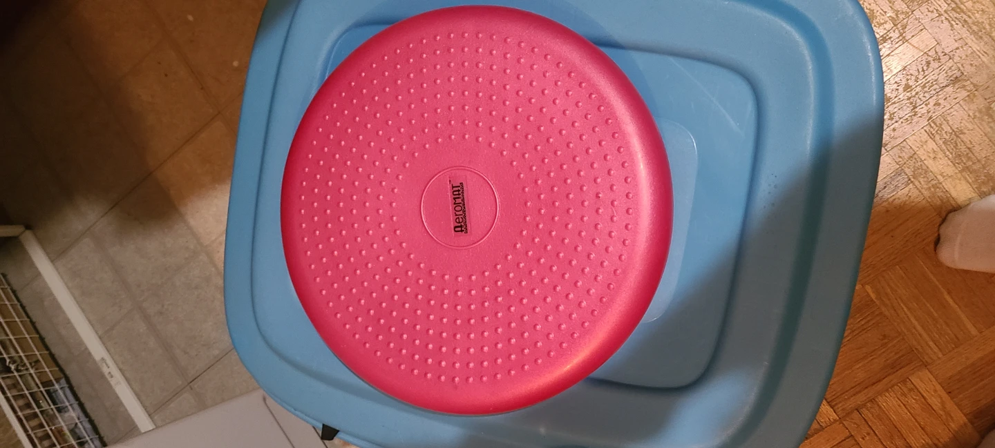 Balance Disc Wobble Cushion