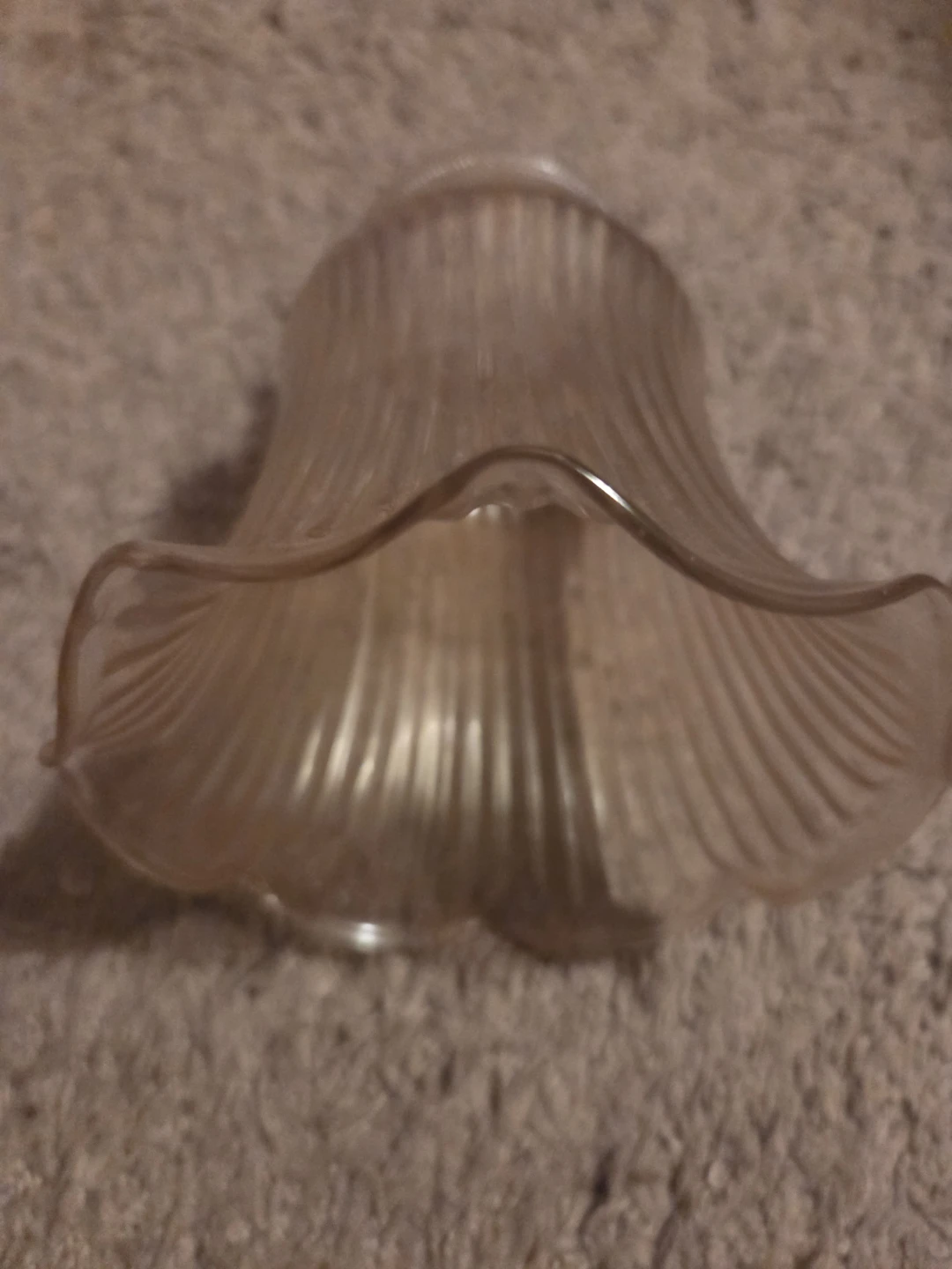 CEILING FAN SHADES - photo 2
