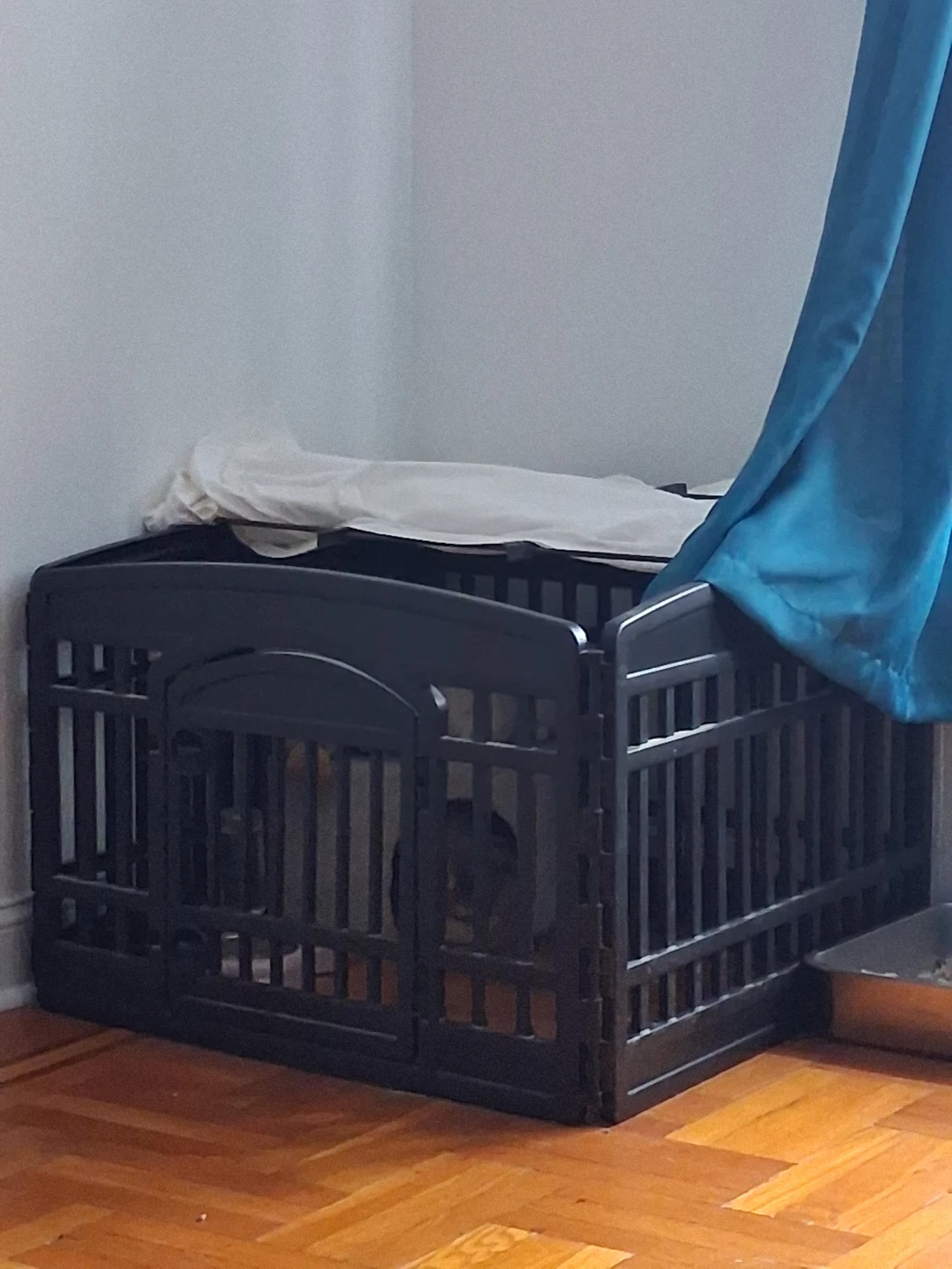 Black Dog Playpen Pet Exercise Gate
