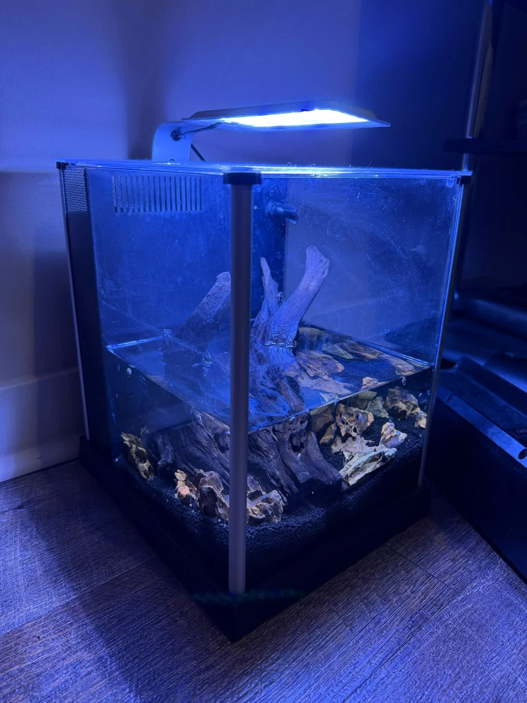 Fluval Aquarium with Kit including Bio-Stratum and Additives - photo 4