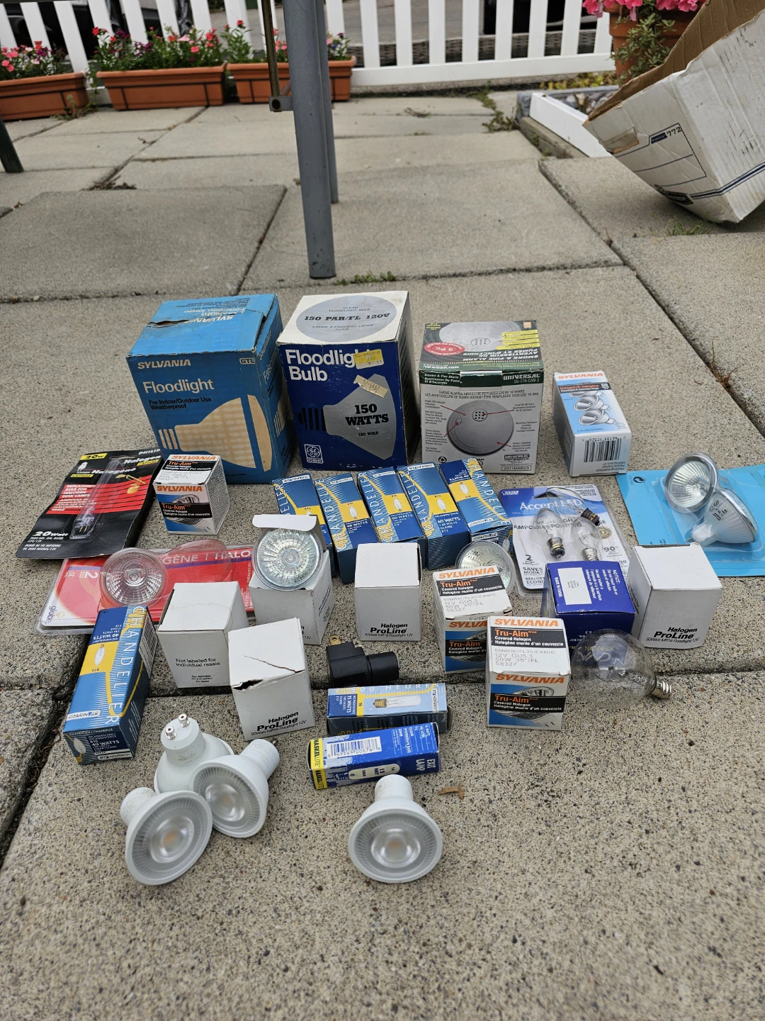 Assorted Light Bulbs and Fixtures