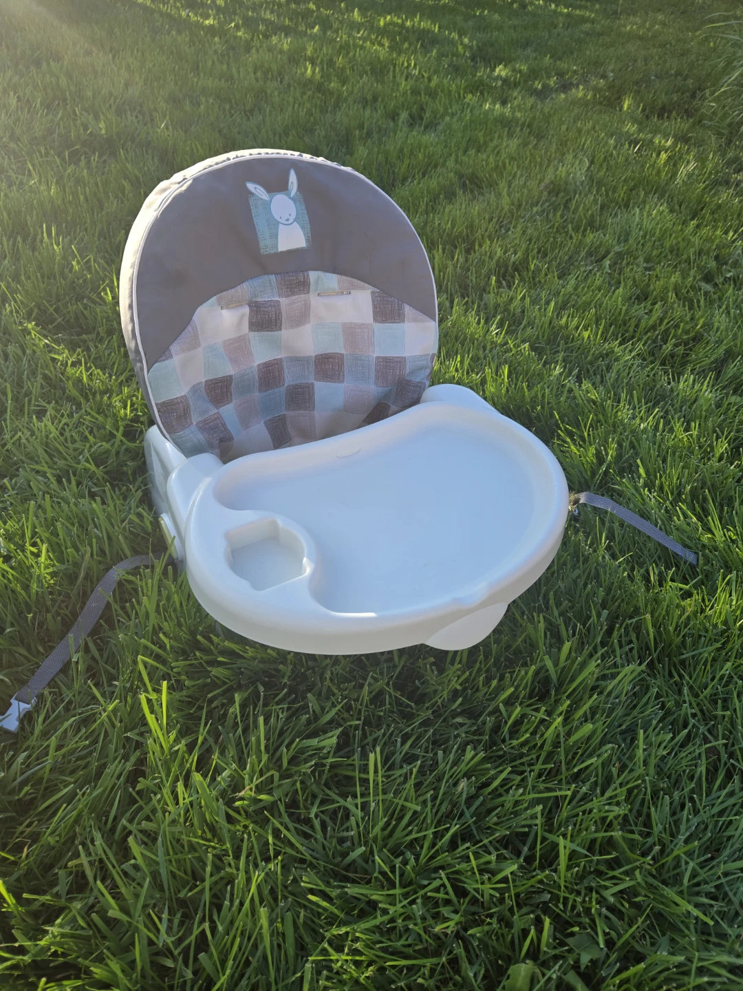 Infant Booster Seat - photo 5