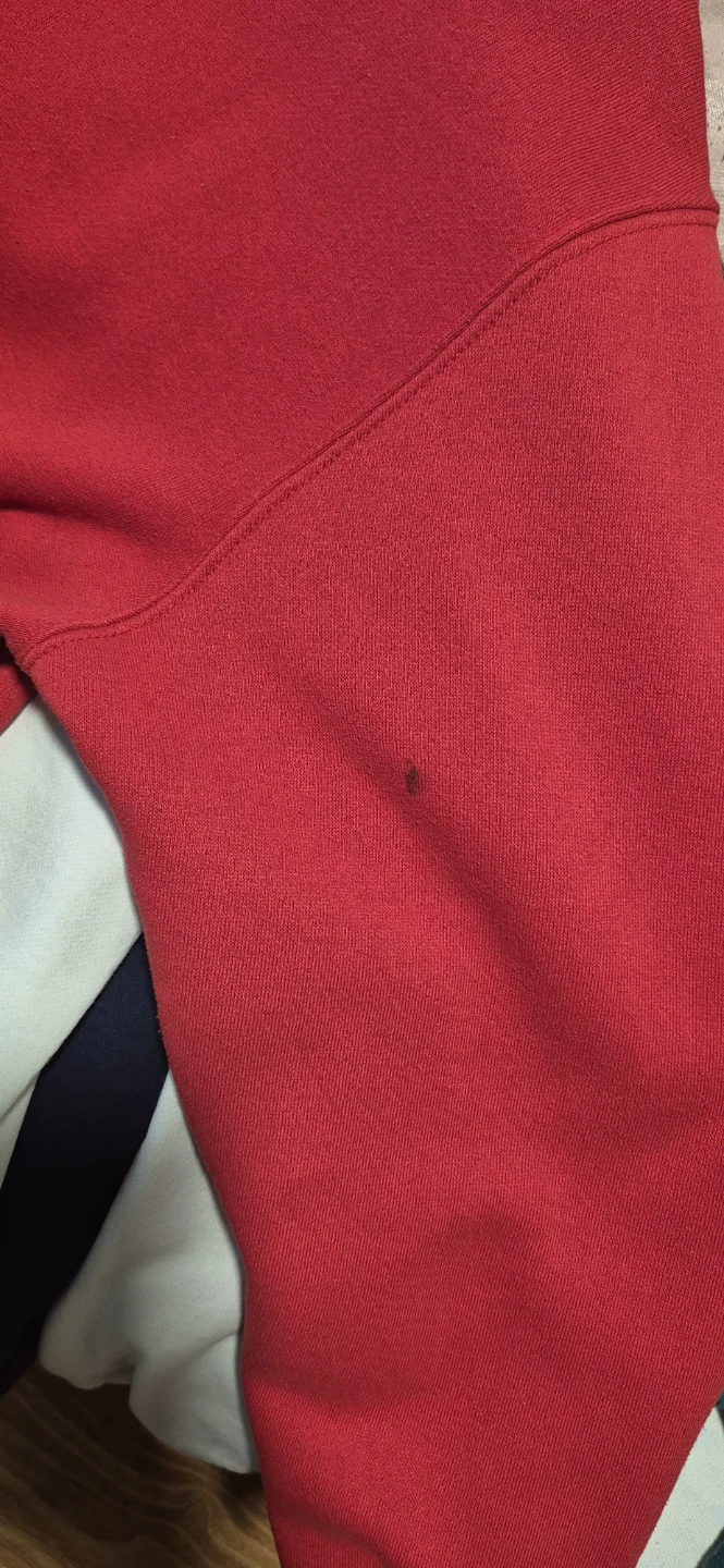 Champion Hoodie - photo 4