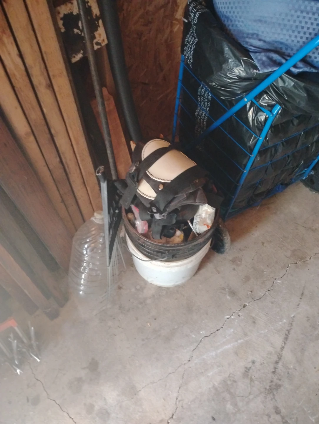 Knee Pads