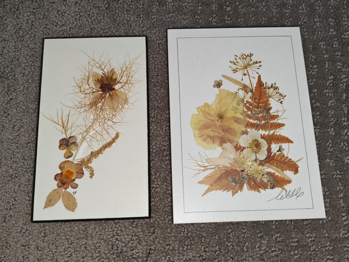2 Hand-Pressed Preserved Flowers Botanical Art Wall Art - Canada