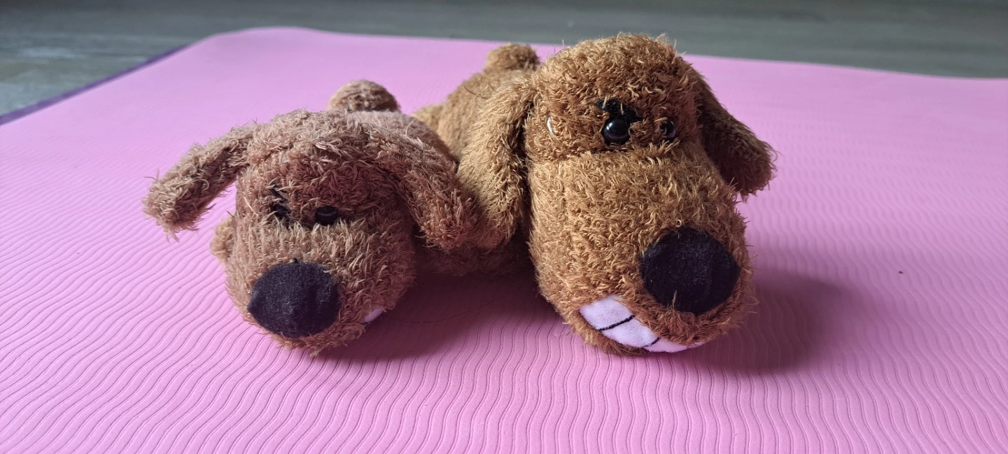 Set of 2 Plush dog keyboard and mouse wrist rest