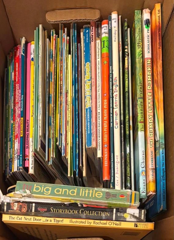 Assorted Children's Books Collection