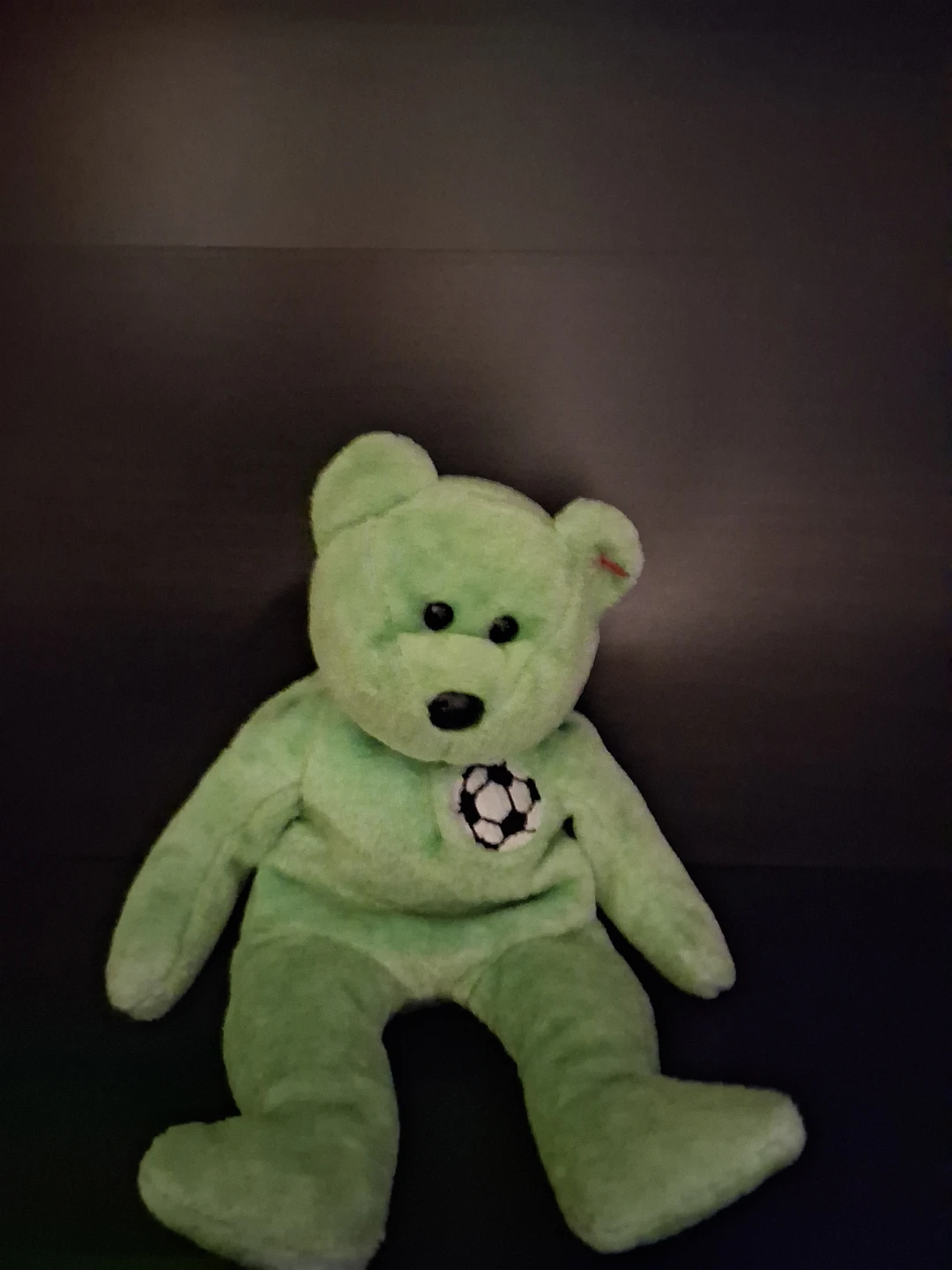 Light Green Teddy Bear with Soccer Ball