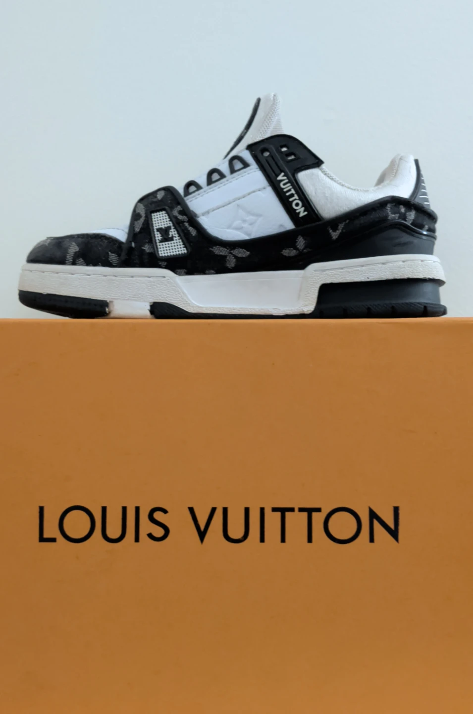 Louis Vuitton Sneakers