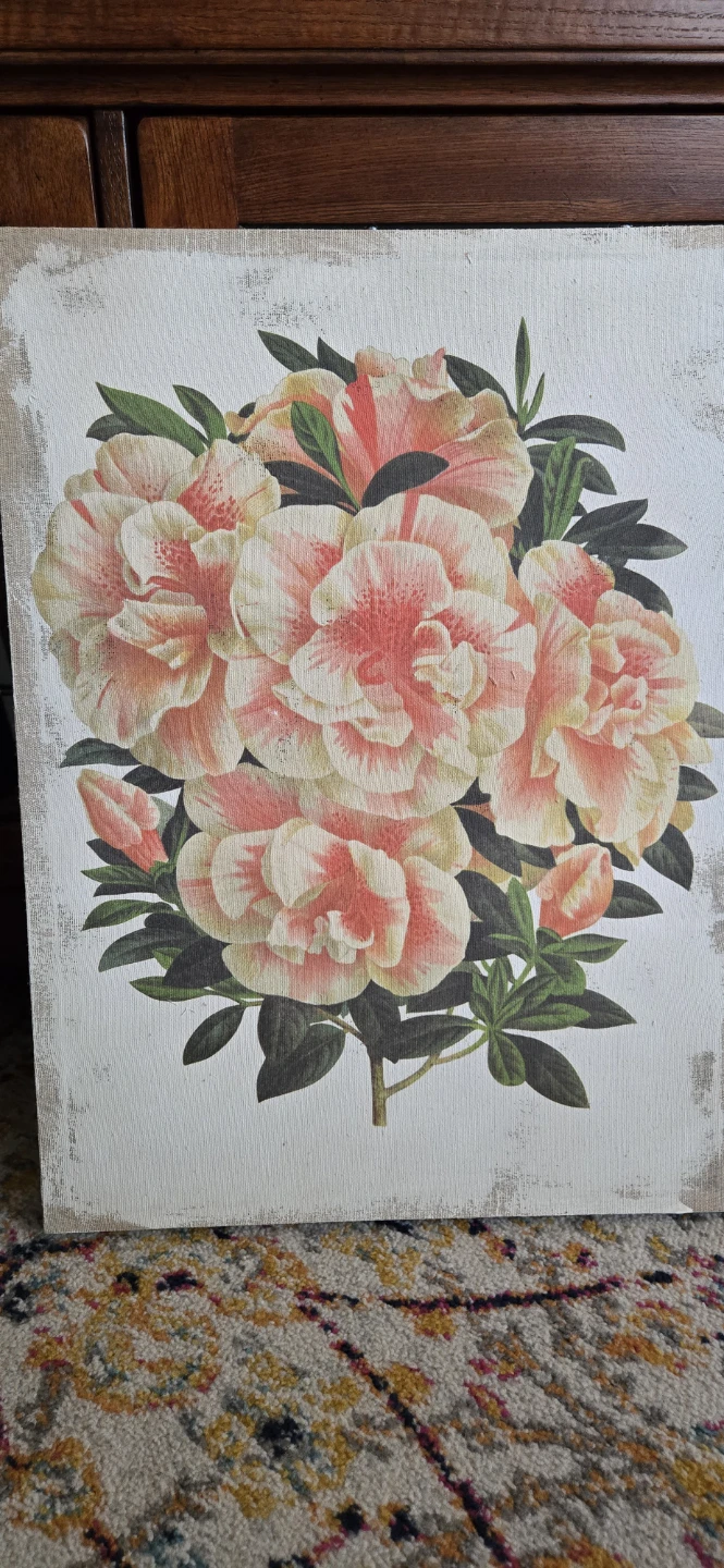 Set of 2 Botanical Canvas Collezione Fresco Prints - photo 3