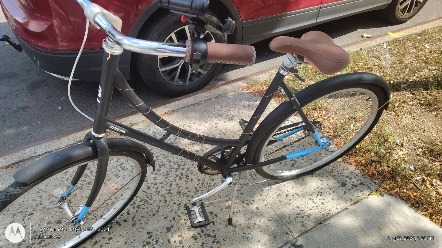 Brilliant "City" Bicycle with Shimano Nexus 3-Speed