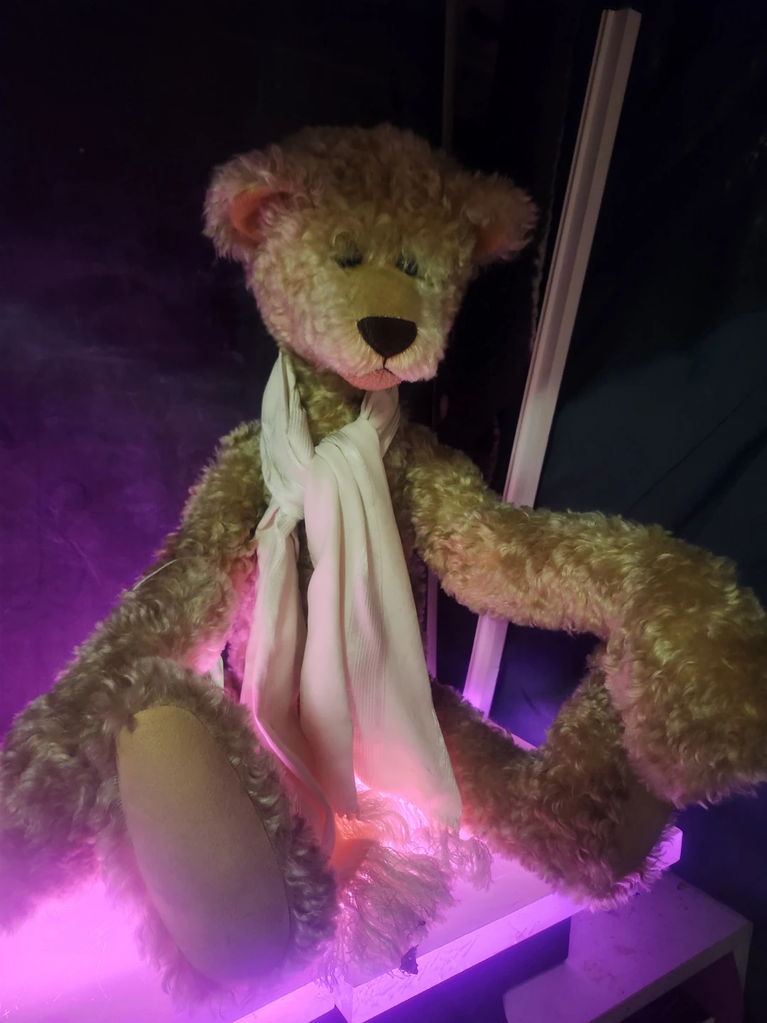 Johnny Bears Jackson Teddy Bear - photo 4