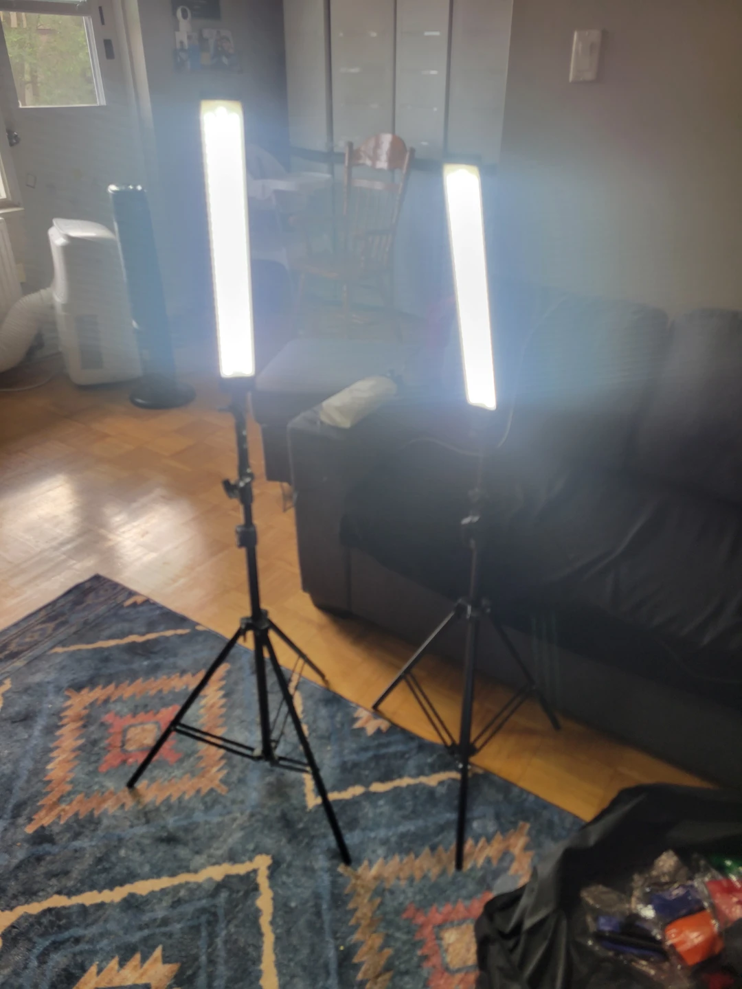 Portable LED Light Kit with Carrying Bag