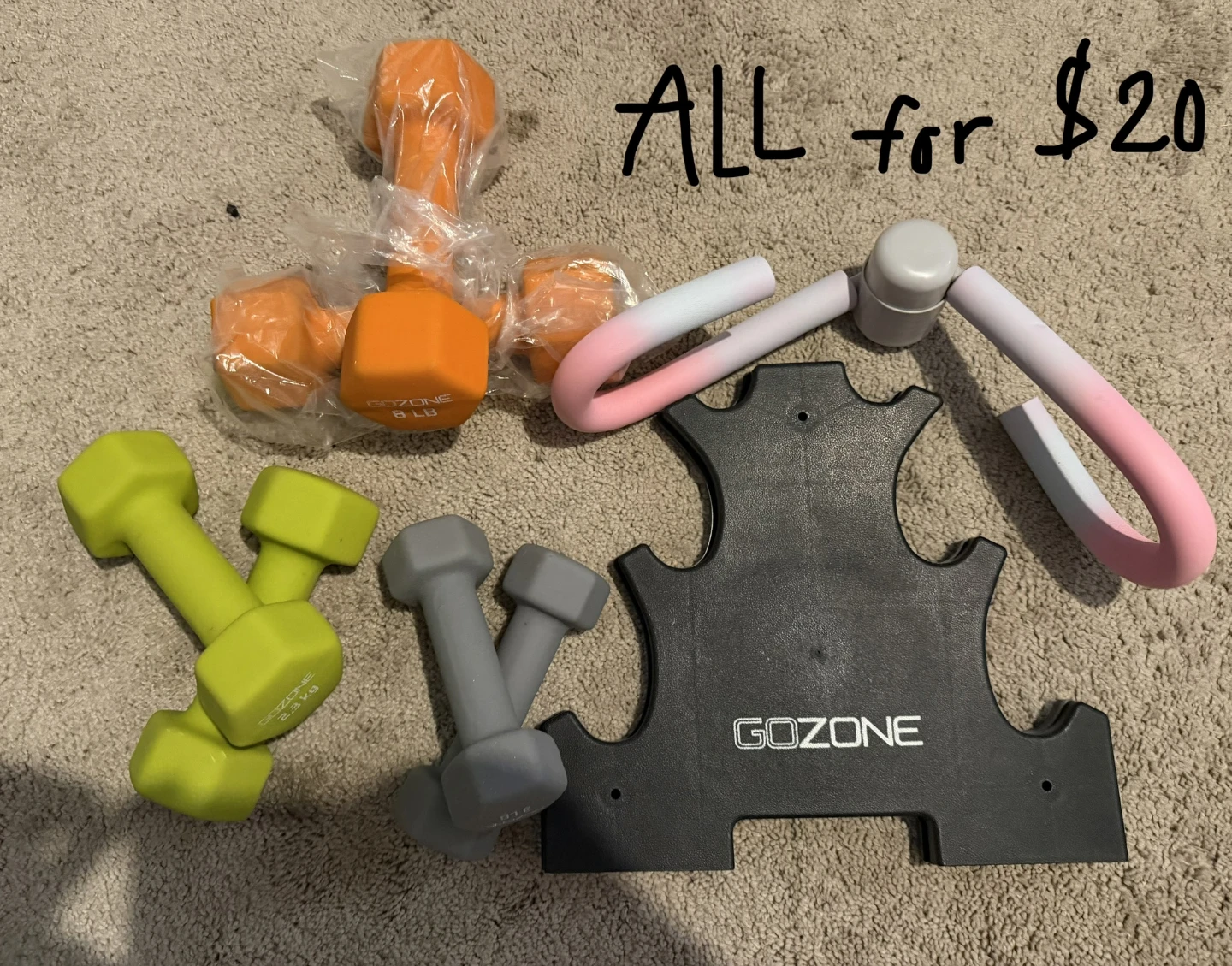 GoZone Dumbbell Set with Thigh Master