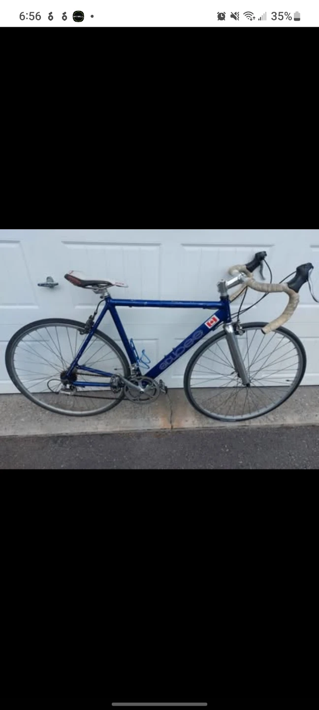Blue "eclipsed " Bike
