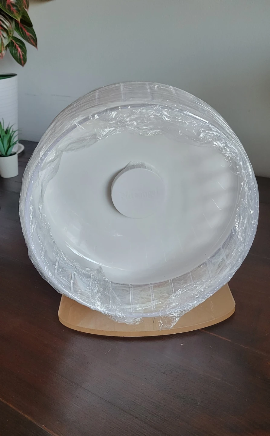 White Hamster Exercise Wheel