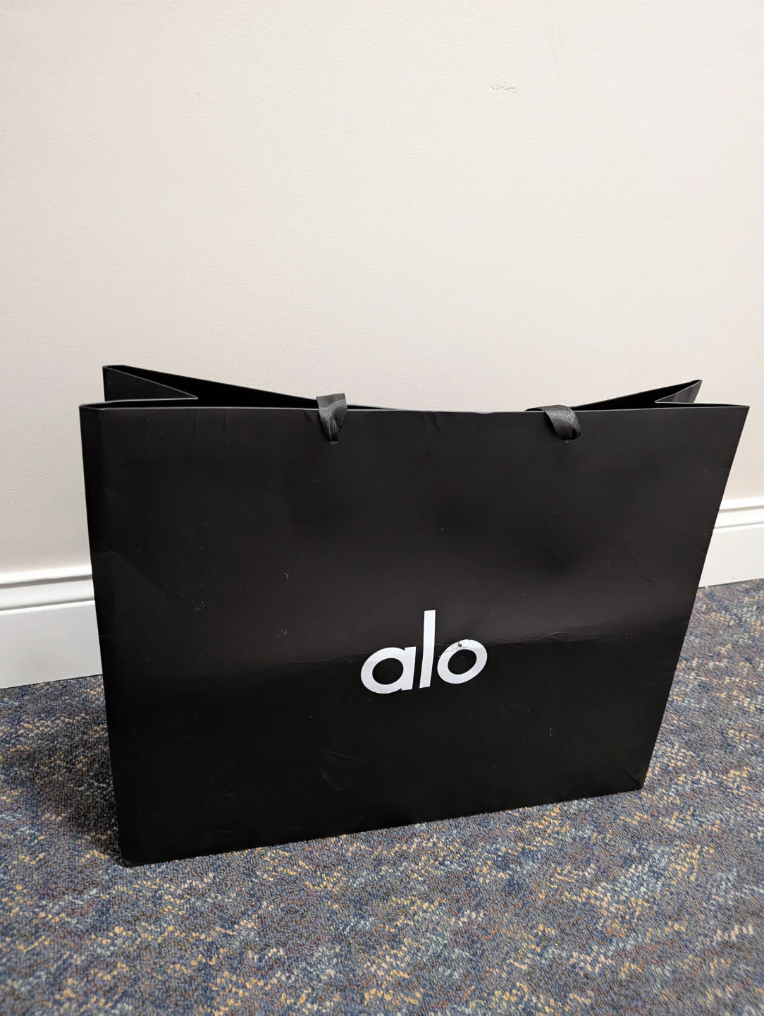 Alo Large Shopping Bag Recycling Bag folded in half