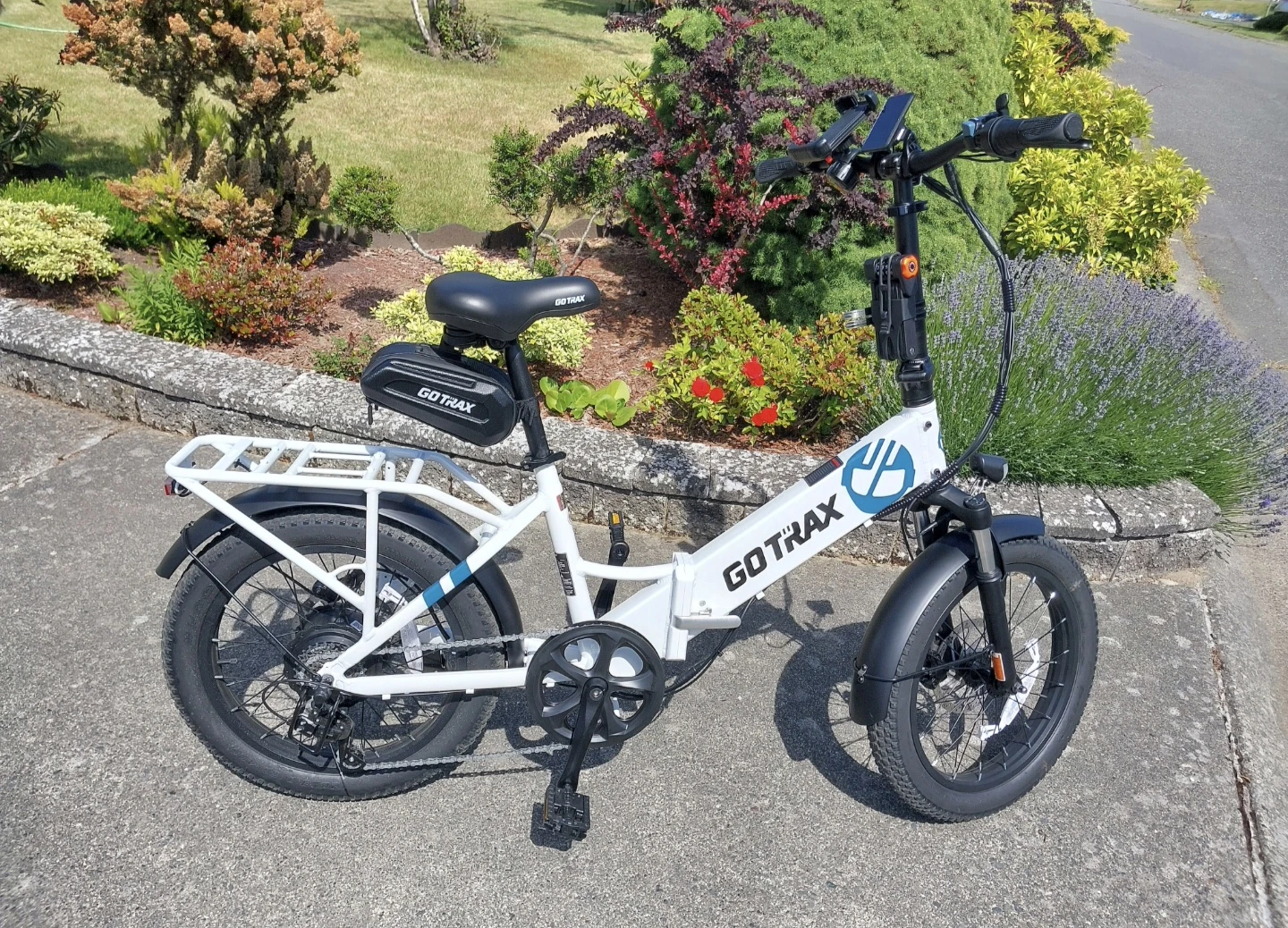 Gotrax F2 V2 Electric Bike