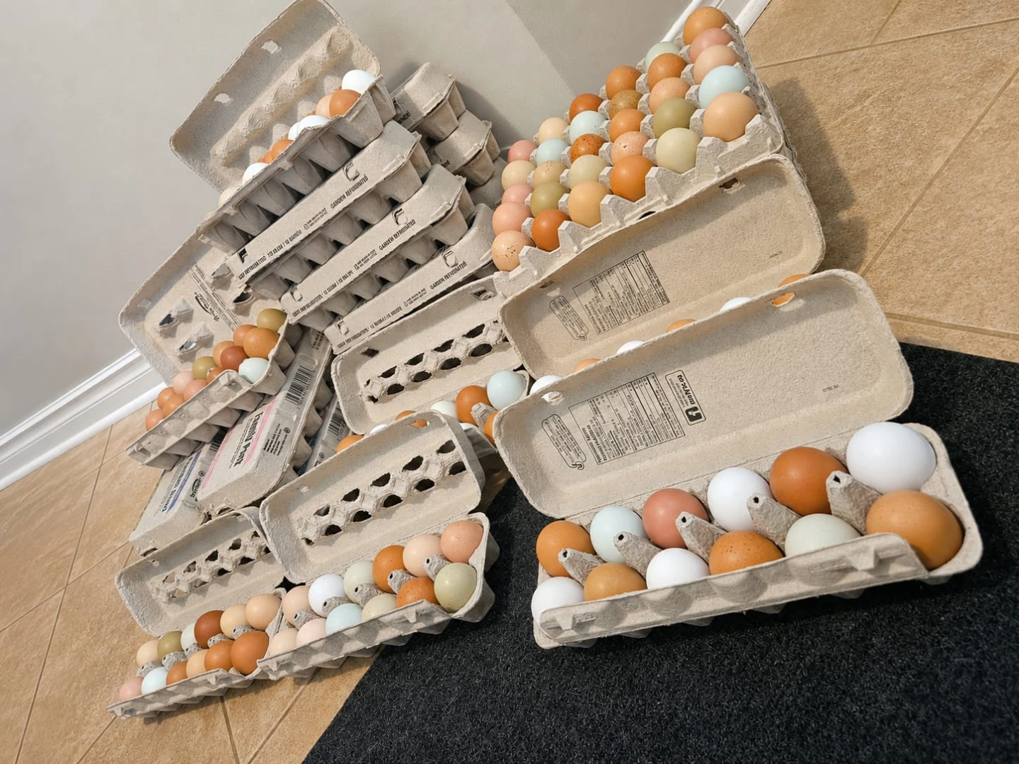 Fresh Farm Eggs (Brown, White, Blue, Green) - photo 2