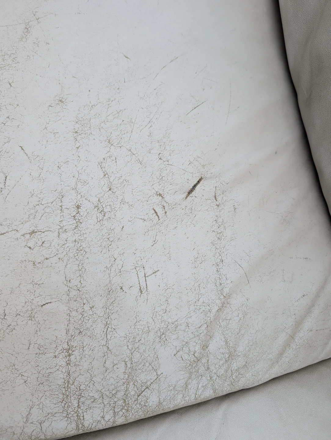 Delivery Available - Sectional Couch - photo 5