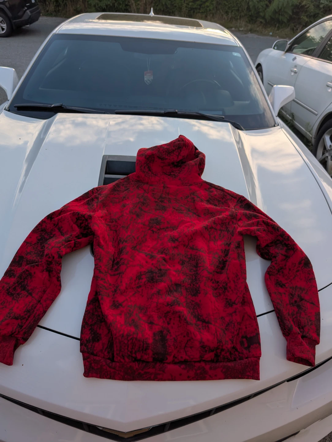 Red Spider Hoodie - photo 4
