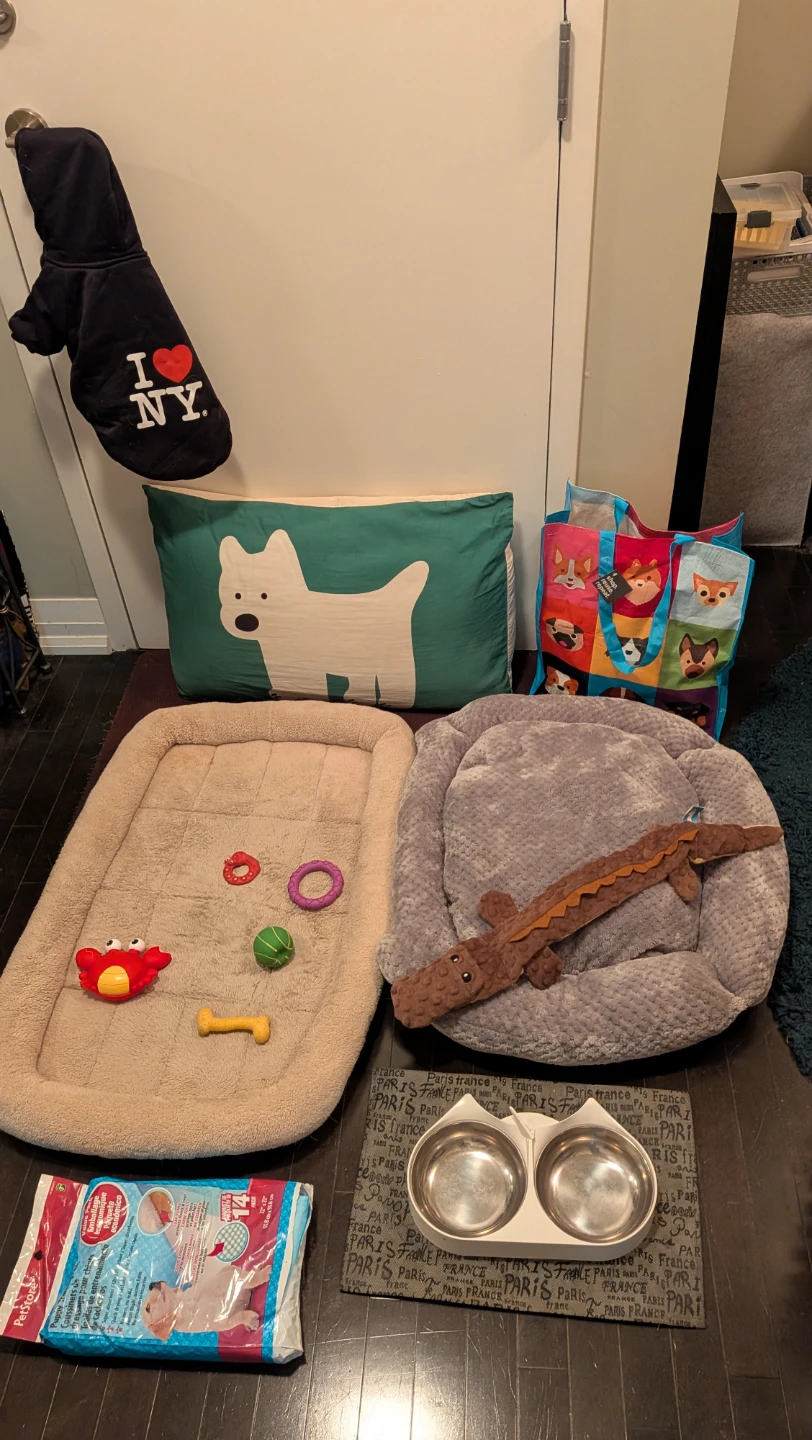 Assorted Dog Supplies Bundle