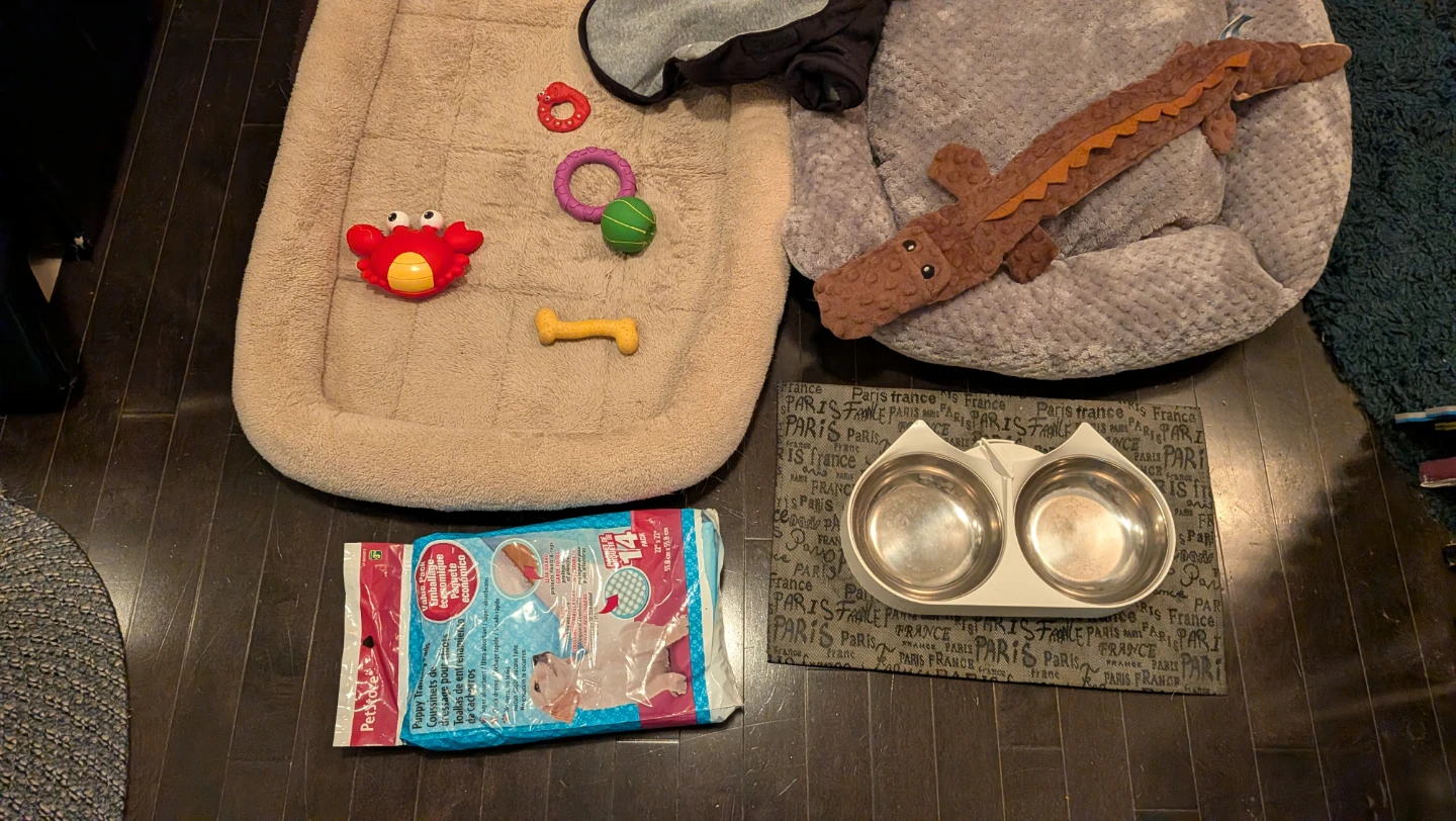 Assorted Dog Supplies Bundle - photo 3