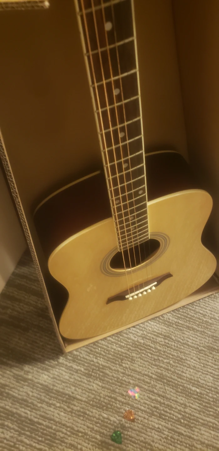 Academy ACG4 Acoustic Guitar - photo 2